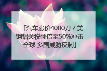 汽车涨价4000刀？美钢铝关税翻倍至50%冲击全球 多国威胁反制