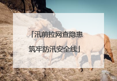 汛前拉网查隐患 筑牢防汛安全线