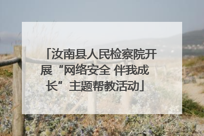汝南县人民检察院开展“网络安全 伴我成长”主题帮教活动