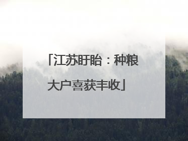 江苏盱眙：种粮大户喜获丰收