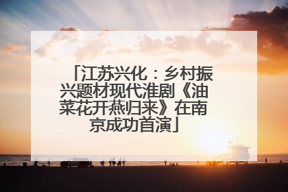 江苏兴化：乡村振兴题材现代淮剧《油菜花开燕归来》在南京成功首演