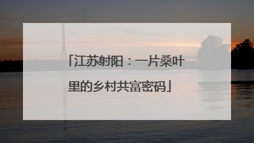 江苏射阳：一片桑叶里的乡村共富密码