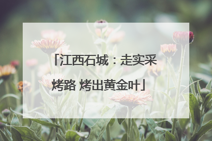 江西石城：走实采烤路 烤出黄金叶