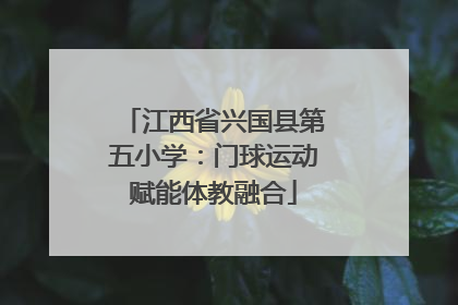 江西省兴国县第五小学：门球运动赋能体教融合