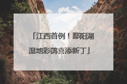 江西首例！鄱阳湖湿地彩鹮喜添新丁