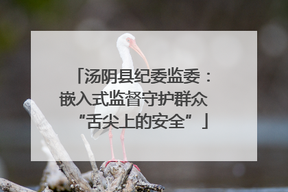 汤阴县纪委监委：嵌入式监督守护群众“舌尖上的安全”