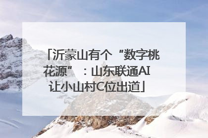 沂蒙山有个“数字桃花源”：山东联通AI让小山村C位出道