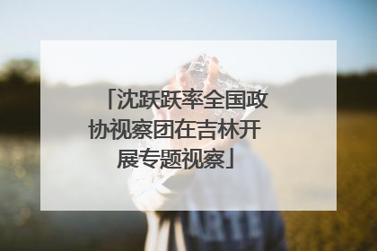 沈跃跃率全国政协视察团在吉林开展专题视察