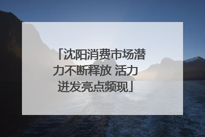 沈阳消费市场潜力不断释放 活力迸发亮点频现
