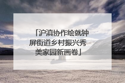 沪滇协作绘就钟屏街道乡村振兴秀美家园新画卷
