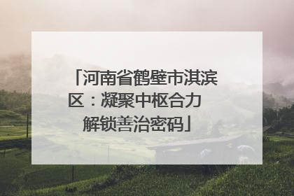 河南省鹤壁市淇滨区：凝聚中枢合力 解锁善治密码
