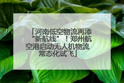 河南低空物流再添“新航线”！郑州航空港启动无人机物流常态化试飞