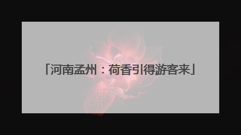 河南孟州：荷香引得游客来