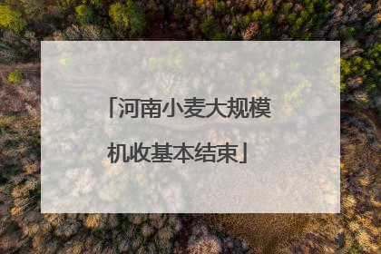 河南小麦大规模机收基本结束