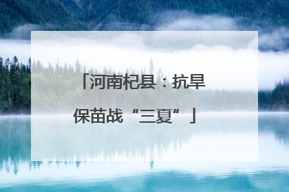 河南杞县：抗旱保苗战“三夏”