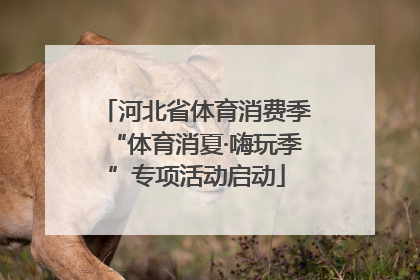 河北省体育消费季“体育消夏·嗨玩季”专项活动启动