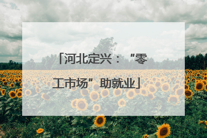 河北定兴：“零工市场”助就业