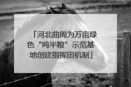 河北曲周为万亩绿色“吨半粮”示范基地创建指挥田机制