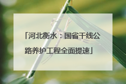 河北衡水：国省干线公路养护工程全面提速