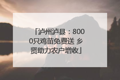 泸州泸县：8000只鸡苗免费送 乡贤助力农户增收