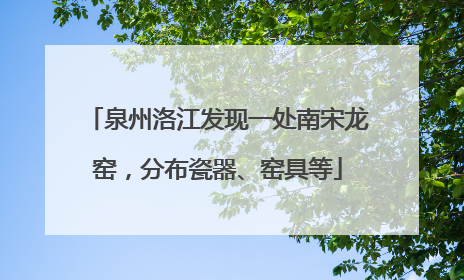 泉州洛江发现一处南宋龙窑，分布瓷器、窑具等