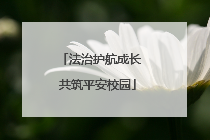 法治护航成长 共筑平安校园