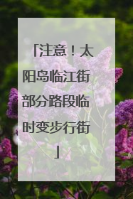 注意！太阳岛临江街部分路段临时变步行街