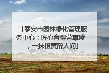 泰安市园林绿化管理服务中心：匠心育得萱草盛，一抹橙黄醉人间