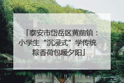 泰安市岱岳区黄前镇：小学生“沉浸式”学传统 粽香荷包暖夕阳