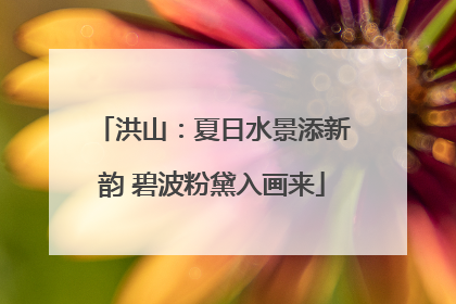 洪山：夏日水景添新韵 碧波粉黛入画来