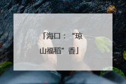 海口：“琼山福稻”香