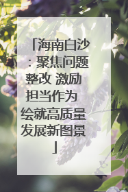 海南白沙：聚焦问题整改 激励担当作为 绘就高质量发展新图景