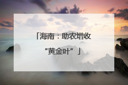 海南：助农增收 “黄金叶”