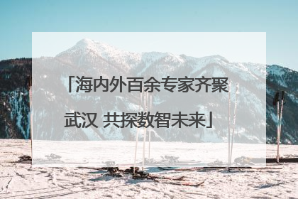 海内外百余专家齐聚武汉 共探数智未来