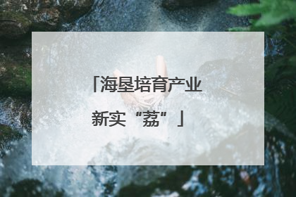 海垦培育产业新实“荔”