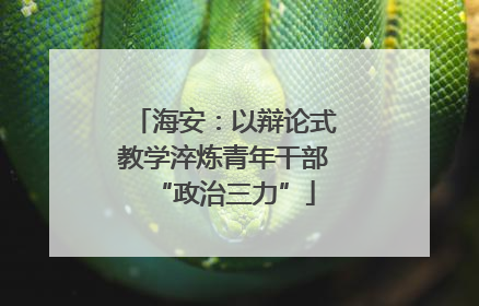 海安：以辩论式教学淬炼青年干部“政治三力”