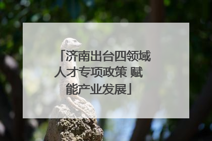 济南出台四领域人才专项政策 赋能产业发展