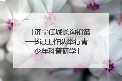 济宁任城长沟镇第一书记工作队举行青少年科普研学