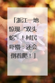 浙江一地惊现“双头蛇”！村民吓懵：还会倒着爬！