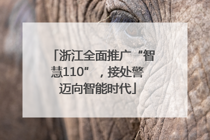 浙江全面推广“智慧110”，接处警迈向智能时代