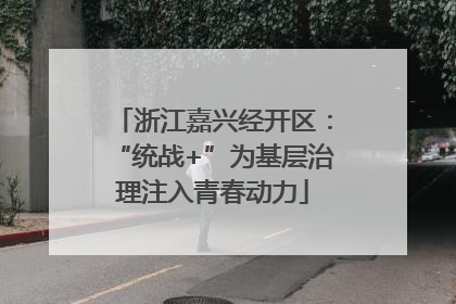 浙江嘉兴经开区：“统战+”为基层治理注入青春动力