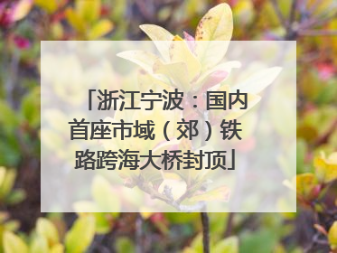 浙江宁波：国内首座市域（郊）铁路跨海大桥封顶