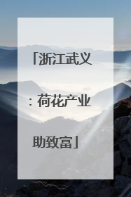 浙江武义：荷花产业助致富