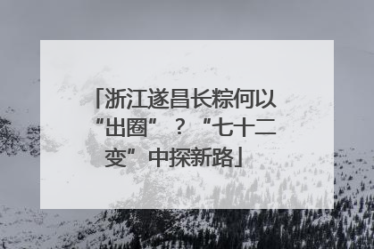 浙江遂昌长粽何以“出圈”？“七十二变”中探新路