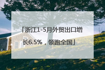 浙江1-5月外贸出口增长6.5%，领跑全国