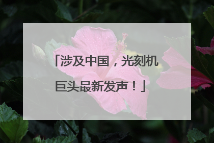 涉及中国，光刻机巨头最新发声！