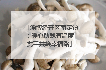 淄博经开区南定镇：暖心助残有温度 携手共绘幸福路