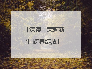 深读｜茉莉新生 跨界绽放