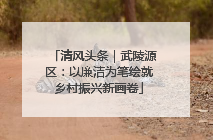 清风头条｜武陵源区：以廉洁为笔绘就乡村振兴新画卷