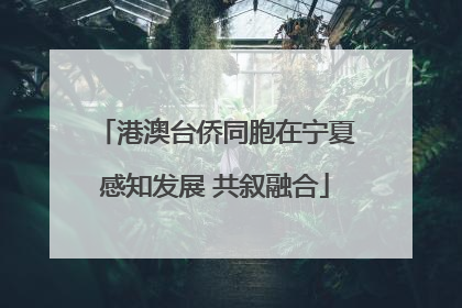 港澳台侨同胞在宁夏感知发展 共叙融合